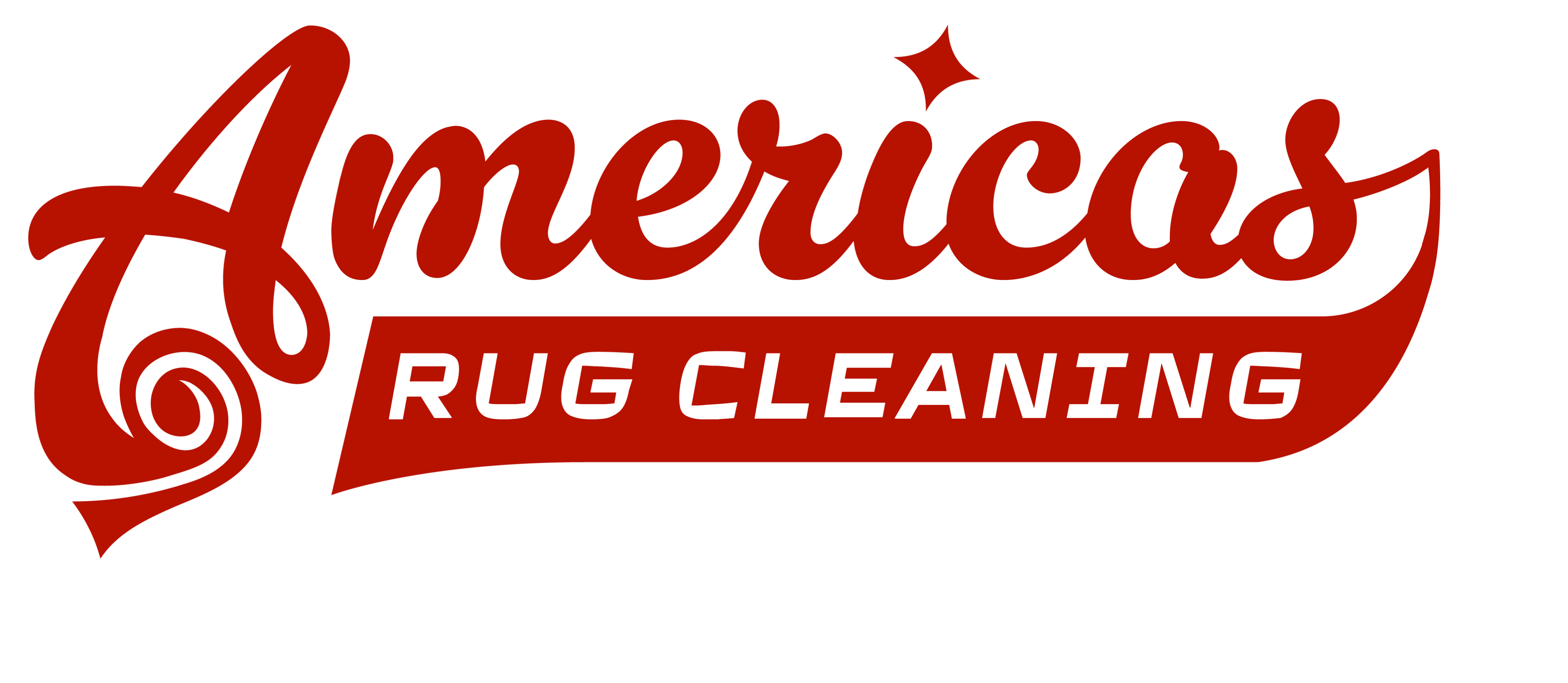 Americas Rug Cleaning